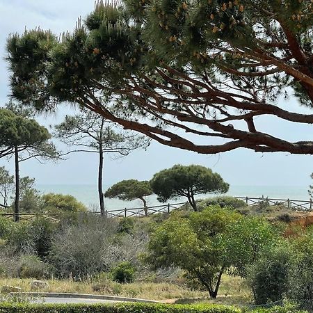 Praia Da Falesia Alfa Mar Albufeira Olhos de Agua  Eksteriør billede