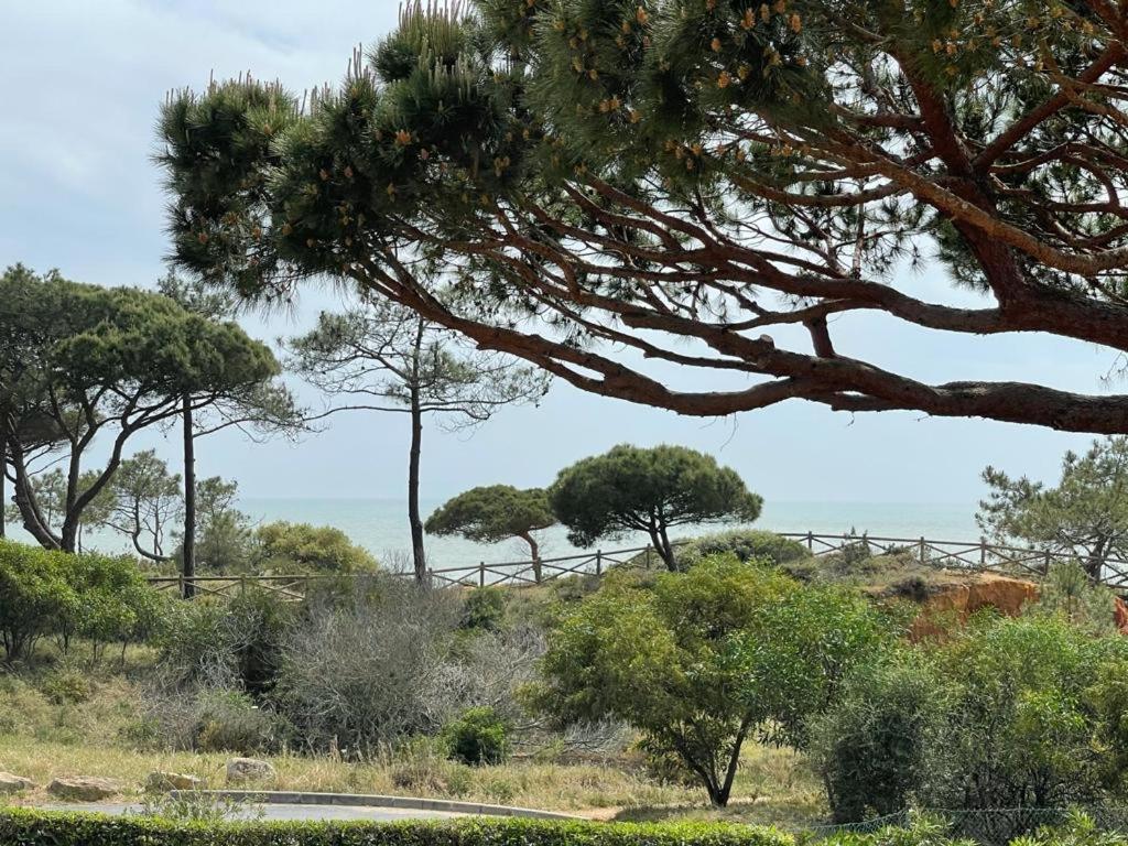 Praia Da Falesia Alfa Mar Albufeira Olhos de Agua  Eksteriør billede